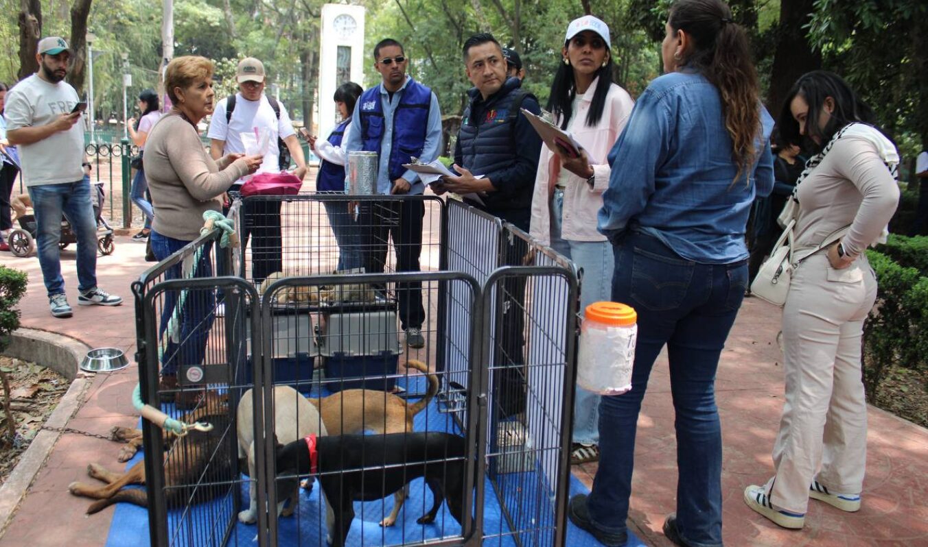 El bienestar animal no es opcional: realizamos operativo de verificación en Parque México
