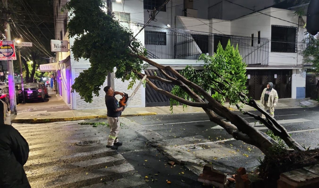 BRIGADA TORMENTA RESPONDE A LA CAÍDA DE ÁRBOLES EN TRES PUNTOS DE CUAUHTÉMOC