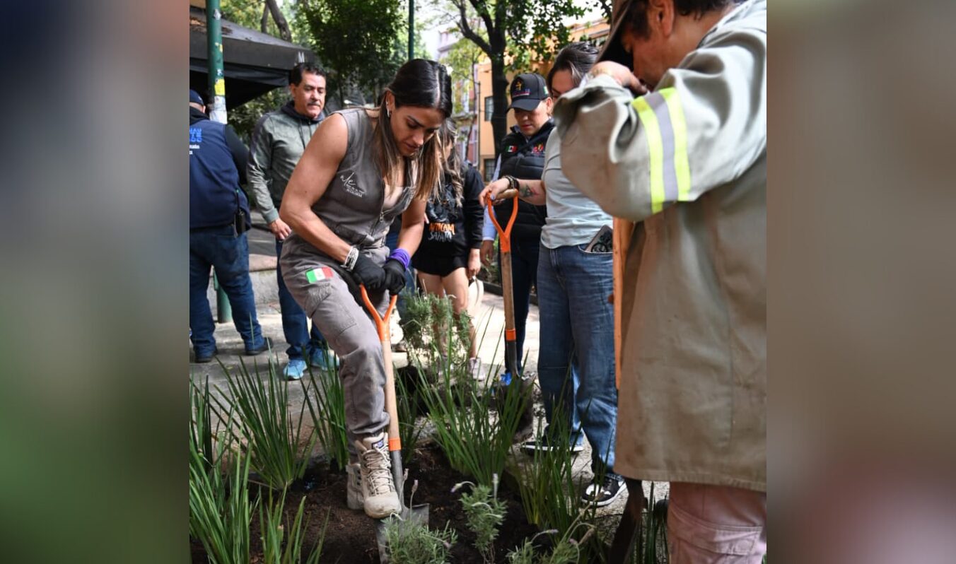 CALLES ILUMINADAS, PARQUES CUIDADOS Y VIALIDADES SEGURAS EN LA JUÁREZ