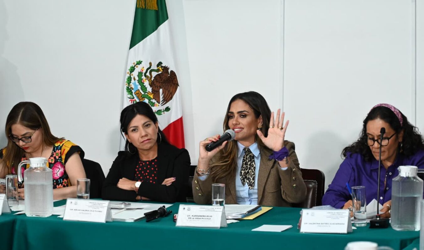 ALE ROJO DE LA VEGA SUSTENTA ANTE DIPUTADAS Y DIPUTADOS LA NECESIDAD DE UN INCREMENTO PRESUPUESTAL ADECUADO A LA REALIDAD DE LA ALCALDÍA CUAUHTÉMOC
