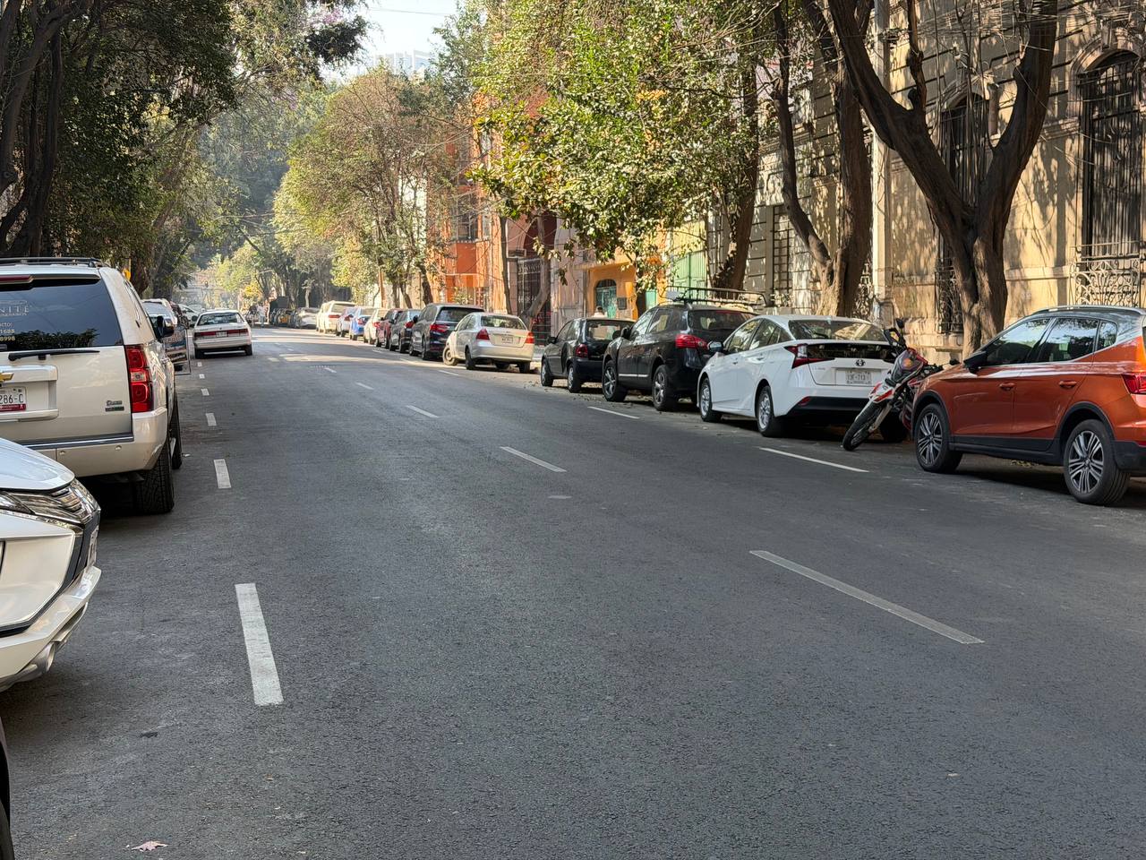 ALE ROJO DE LA VEGA ENTREGA REENCARPETADO EN MIGUEL SCHULTZ, VIALIDAD QUE LLEVABA MÁS DE 30 AÑOS SIN INTERVENCIÓN MAYOR