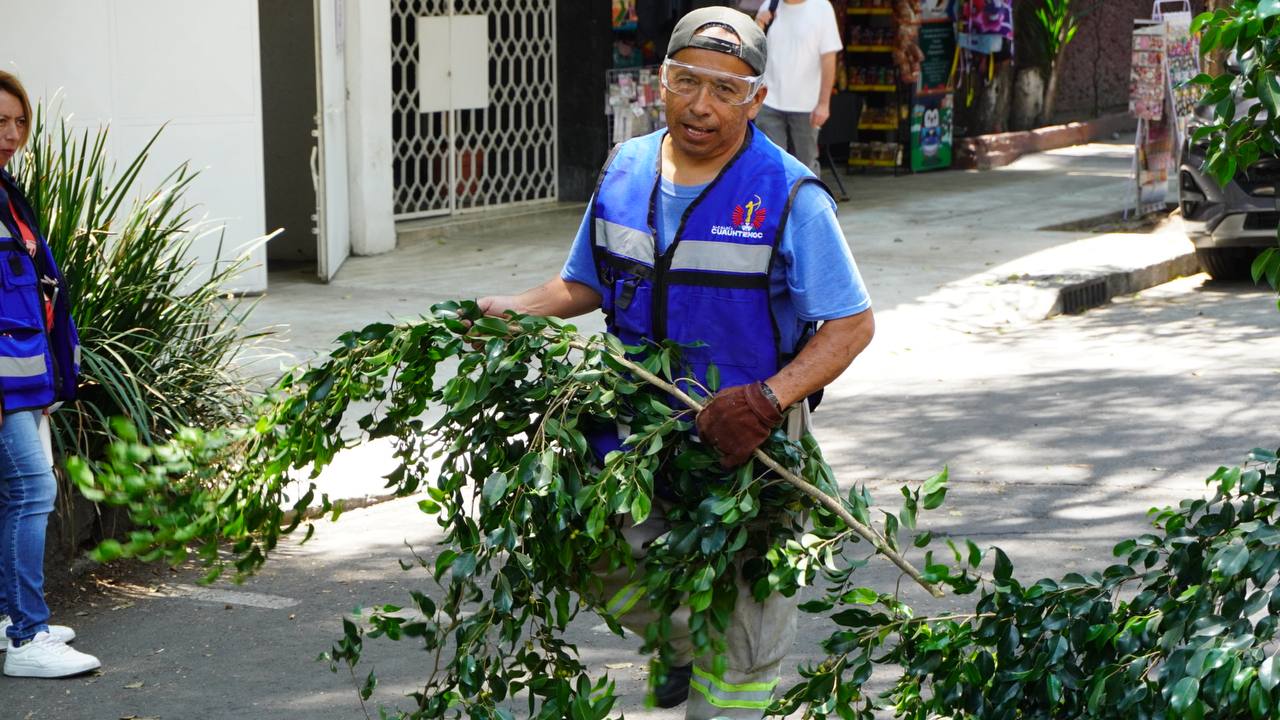 PARA PREVENIR RIESGOS, ALE ROJO DE LA VEGA ENCABEZA JORNADA DE PODA EN COLONIA CUAUHTÉMOC