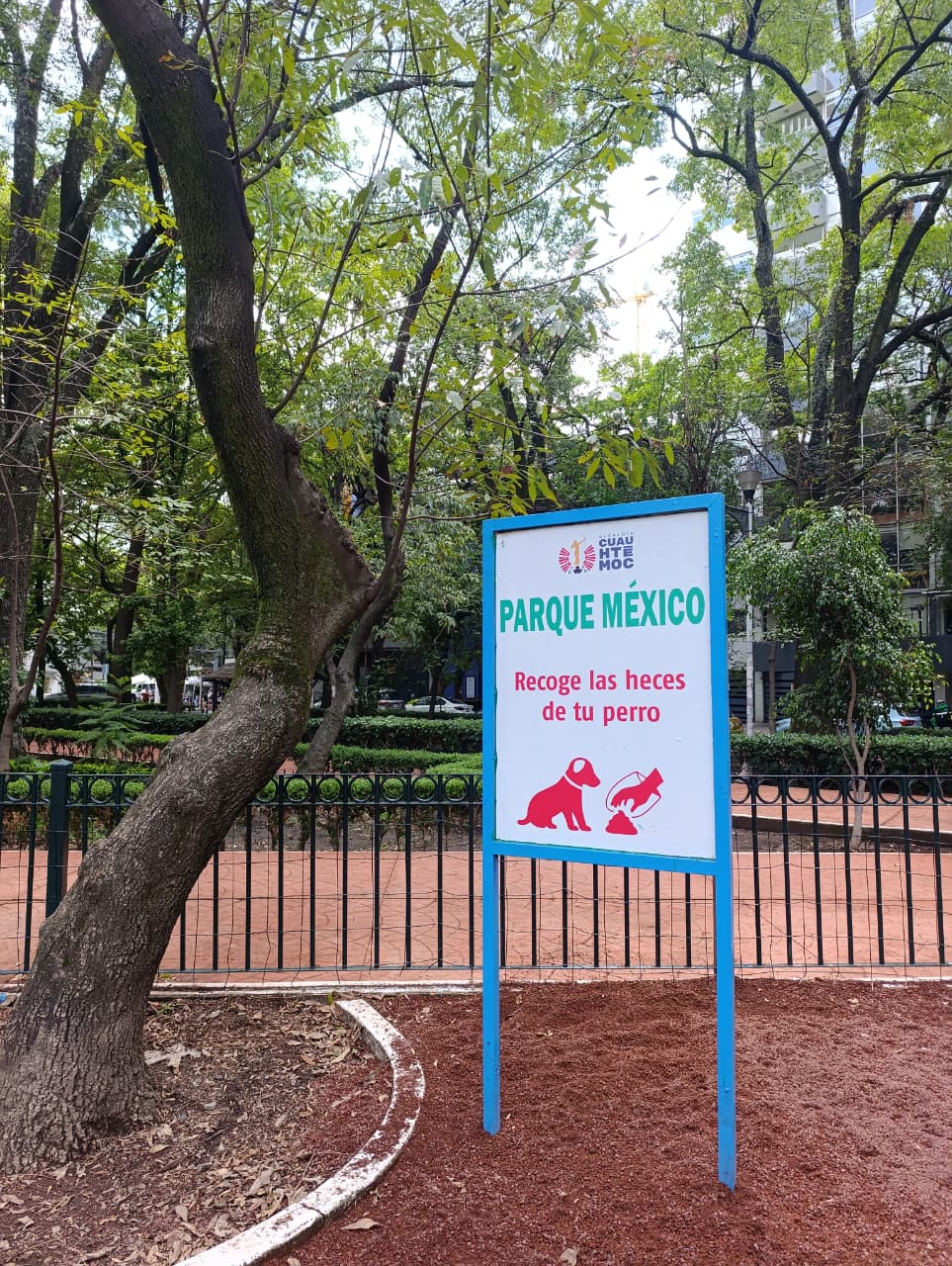 RENACE CUAUHTÉMOC RECUPERA ESPACIO CANINO EN PARQUE MÉXICO PARA FAMILIAS Y MASCOTAS