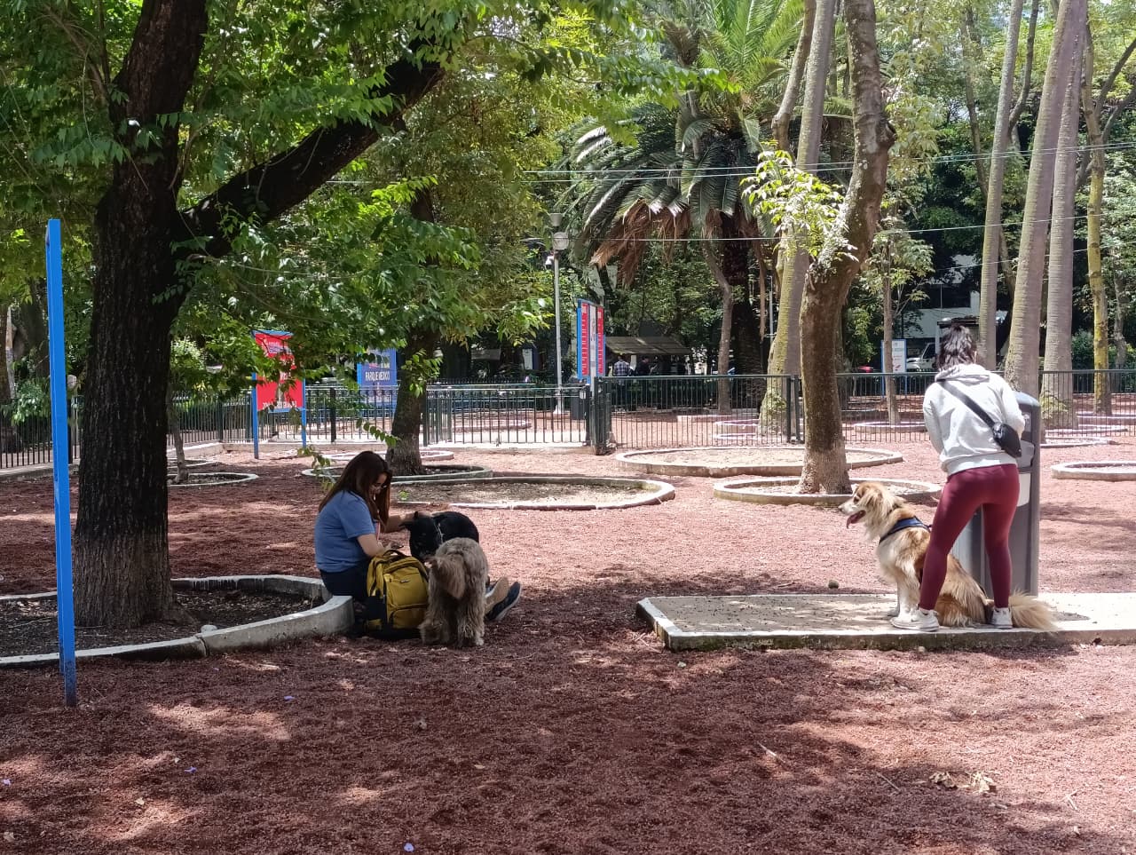RENACE CUAUHTÉMOC RECUPERA ESPACIO CANINO EN PARQUE MÉXICO PARA FAMILIAS Y MASCOTAS