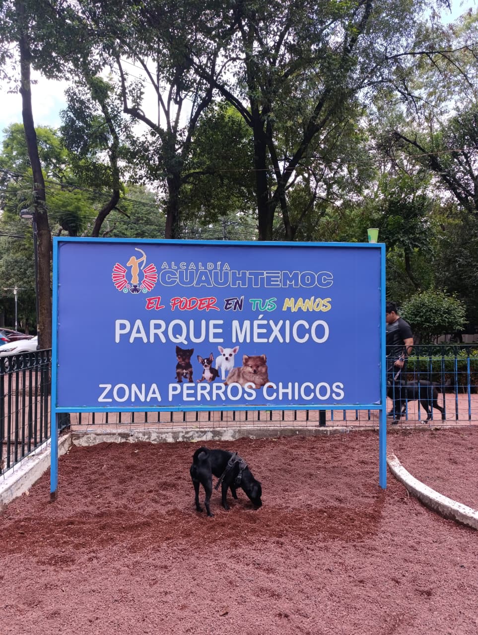 RENACE CUAUHTÉMOC RECUPERA ESPACIO CANINO EN PARQUE MÉXICO PARA FAMILIAS Y MASCOTAS