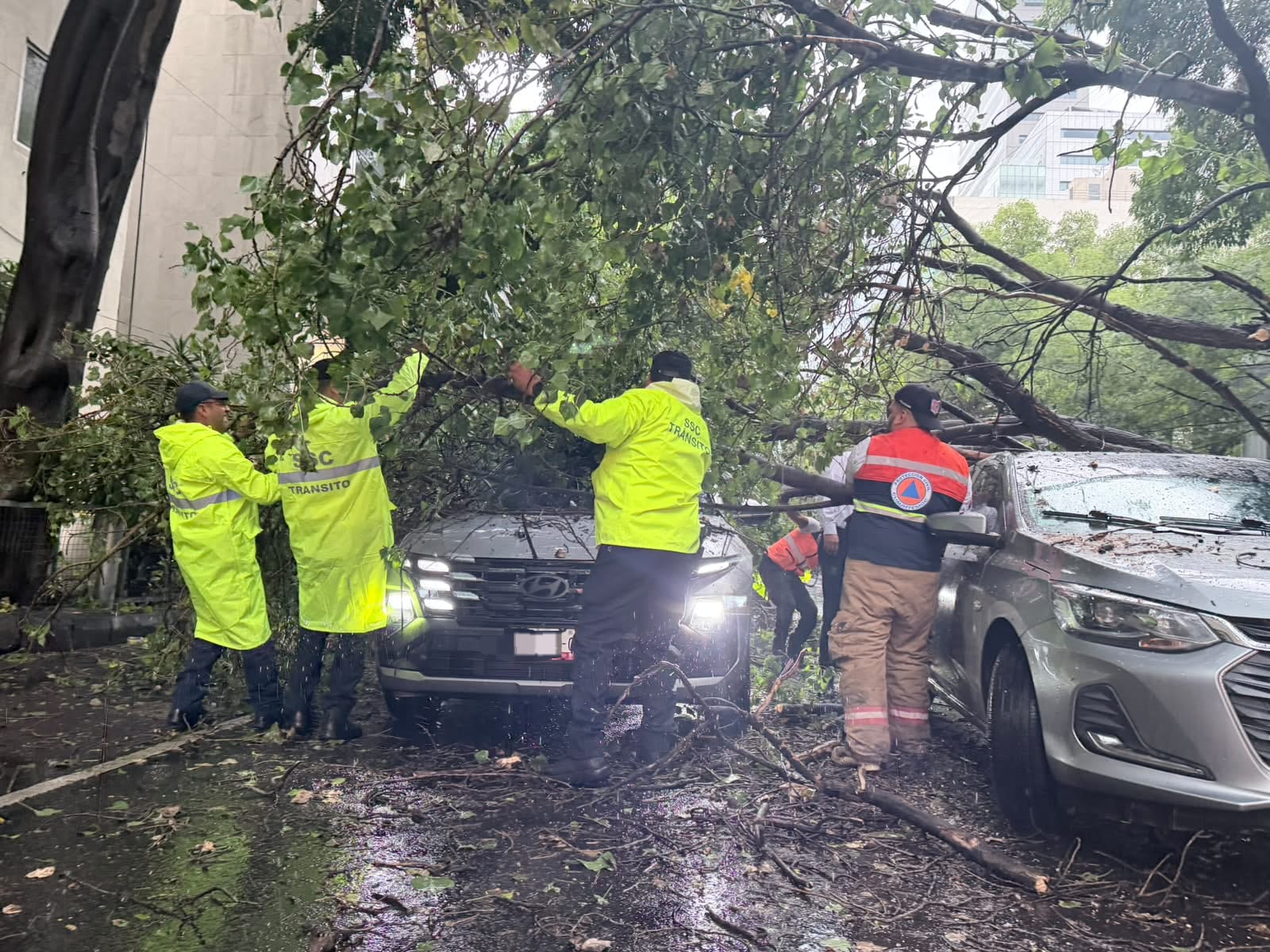 BRIGADA TORMENTA ATIENDE EMERGENCIAS POR LLUVIAS EN MORELOS, DOCTORES Y JUÁREZ