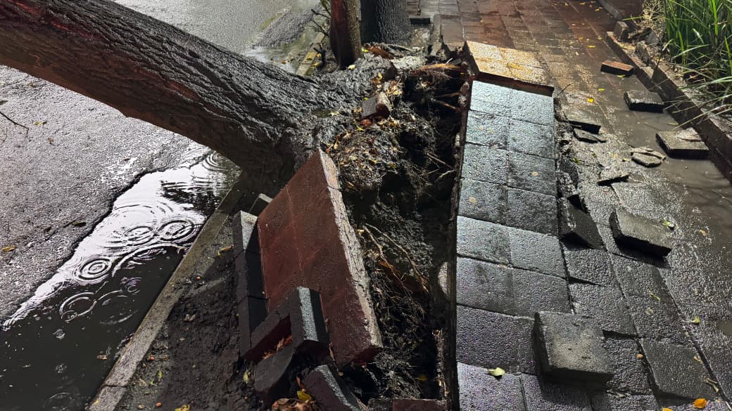 BRIGADA TORMENTA ATIENDE EMERGENCIAS POR LLUVIAS EN MORELOS, DOCTORES Y JUÁREZ