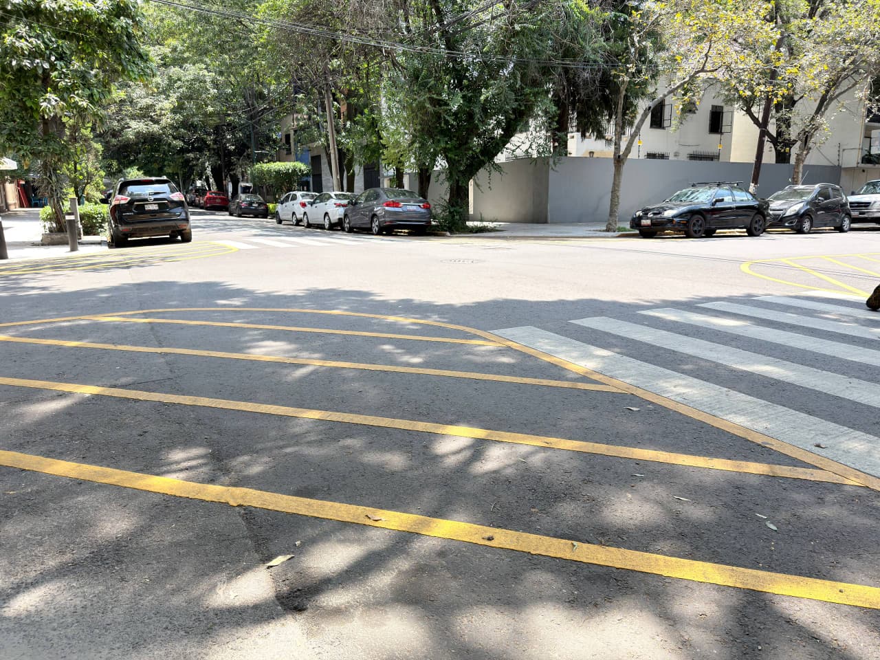 REENCARPETADO EN ROMA SUR MEJORA LA MOVILIDAD Y SEGURIDAD VIAL