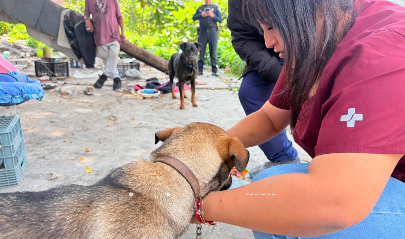 ALCALDÍA CUAUHTÉMOC VERIFICA REPORTE POR PRESUNTO MALTRATO ANIMAL EN BUENAVISTA