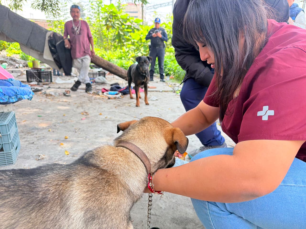 ALCALDÍA CUAUHTÉMOC VERIFICA REPORTE POR PRESUNTO MALTRATO ANIMAL EN BUENAVISTA