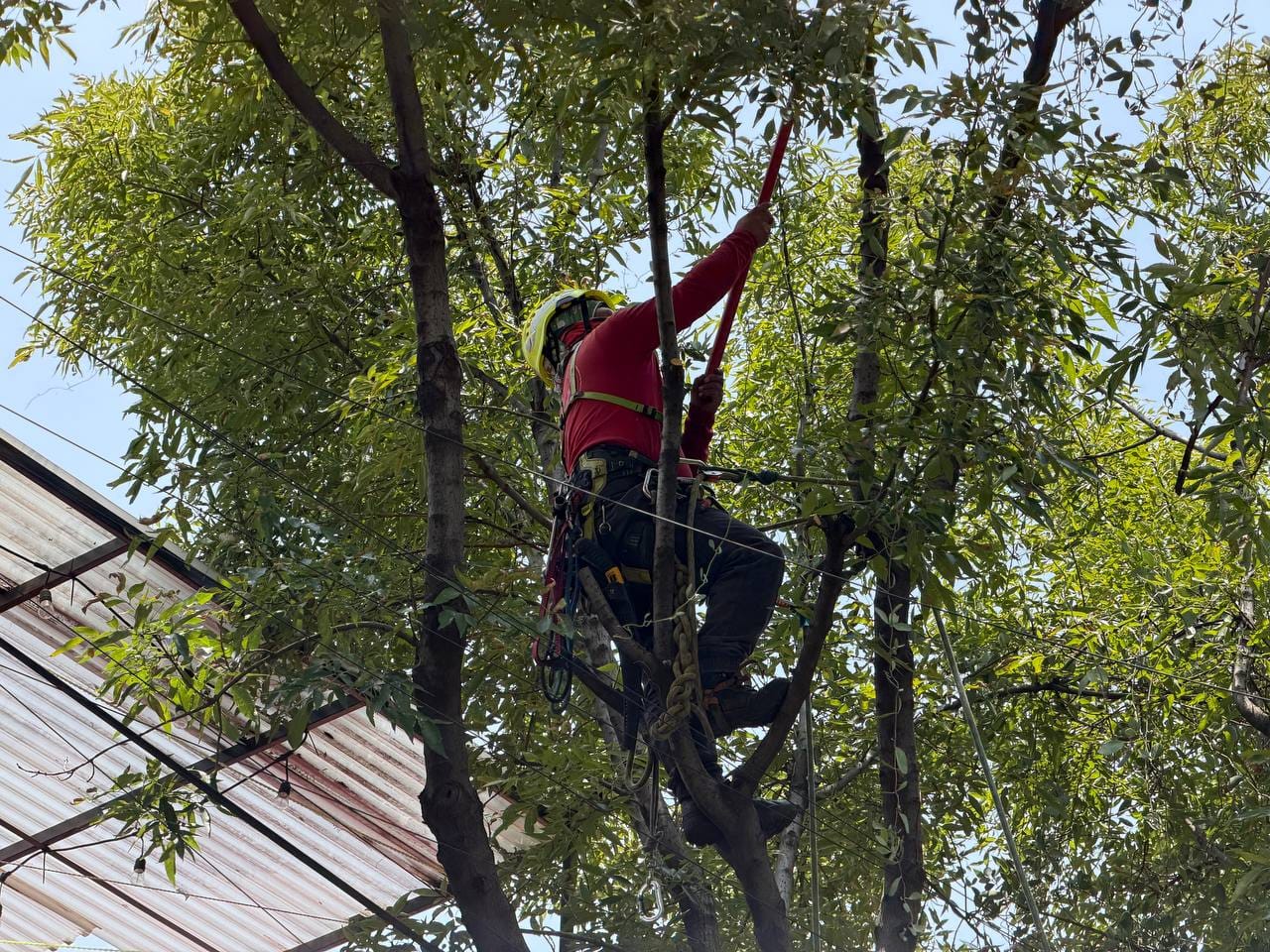 CONTINÚAN LAS ACCIONES PREVENTIVAS DE LA BRIGADA TORMENTA EN LA ALCALDÍA CUAUHTÉMOC
