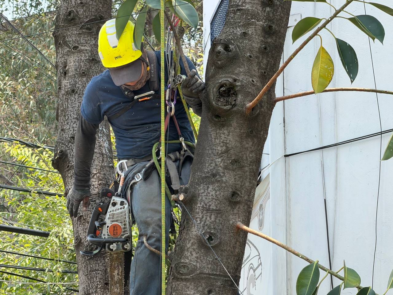 CONTINÚAN LAS ACCIONES PREVENTIVAS DE LA BRIGADA TORMENTA EN LA ALCALDÍA CUAUHTÉMOC