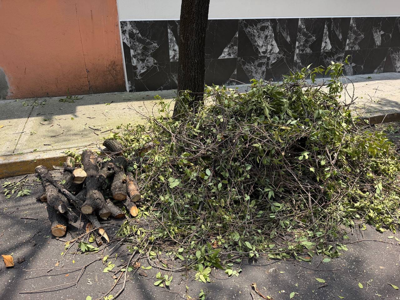 CONTINÚAN LAS ACCIONES PREVENTIVAS DE LA BRIGADA TORMENTA EN LA ALCALDÍA CUAUHTÉMOC