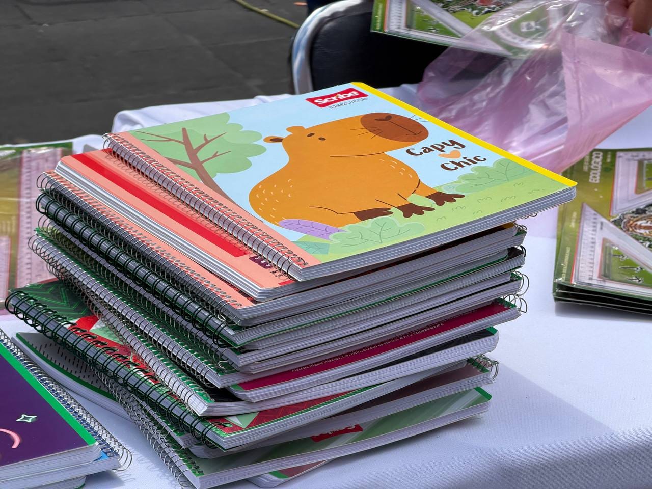 ESTÚDIALE ACERCA SERVICIOS GRATUITOS A FAMILIAS DE LA COLONIA CENTRO PARA EL REGRESO A CLASES