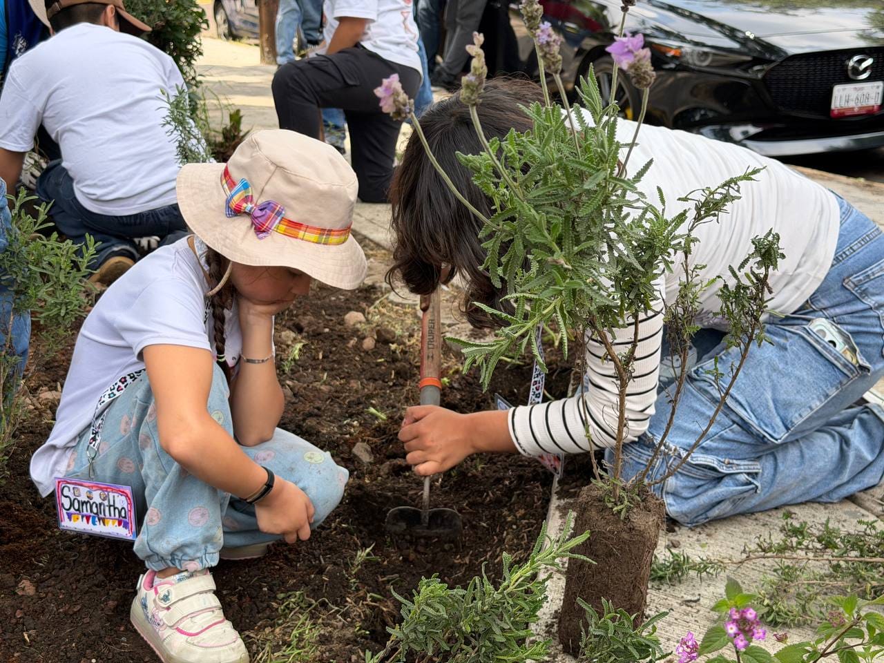 ROMA SUR SUMA ÁRBOLES Y JARDINES POLINIZADORES EN JORNADA DE REFORESTACIÓN ENCABEZADA POR ALE ROJO DE LA VEGA