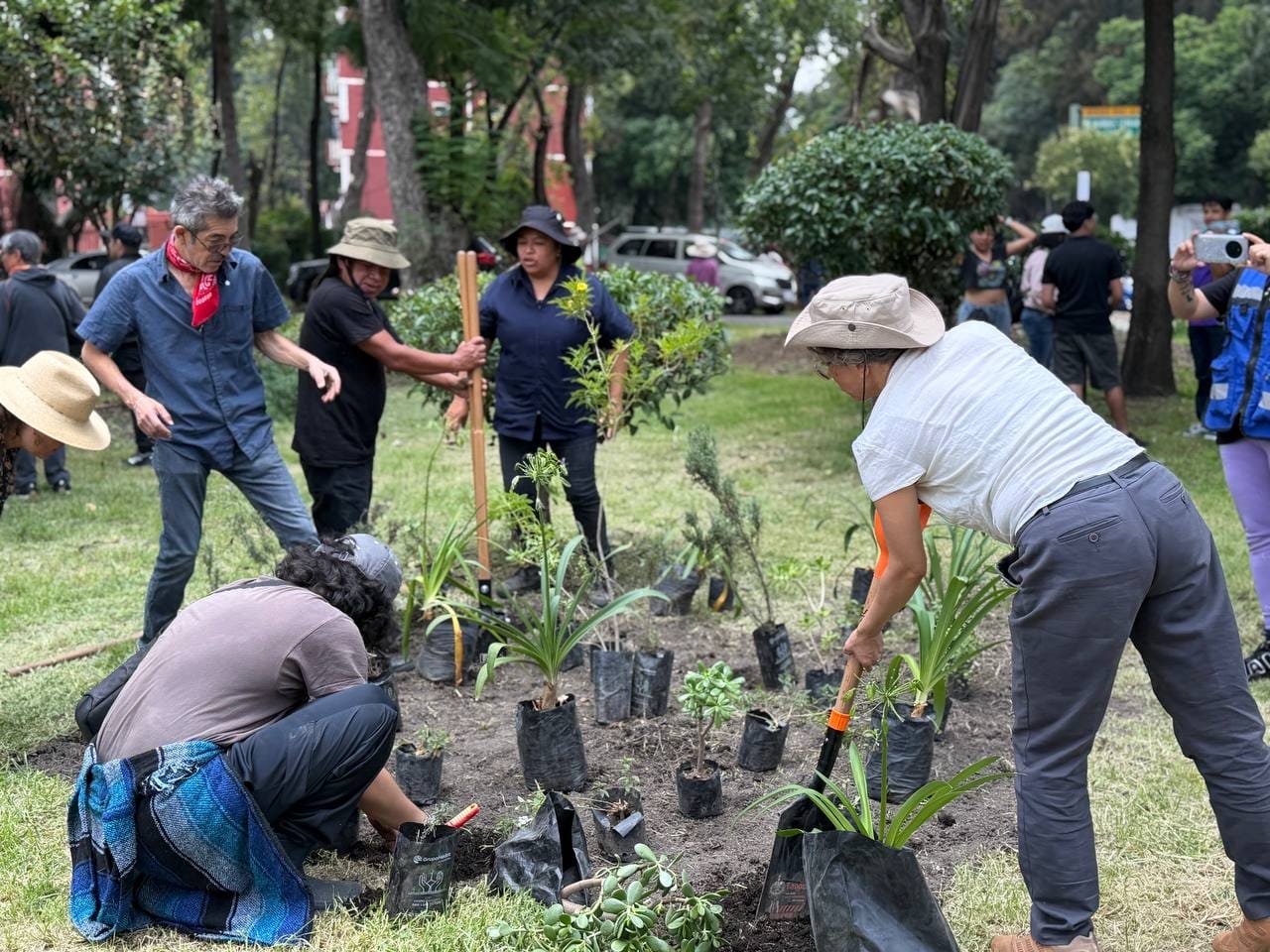 ROMA SUR SUMA ÁRBOLES Y JARDINES POLINIZADORES EN JORNADA DE REFORESTACIÓN ENCABEZADA POR ALE ROJO DE LA VEGA
