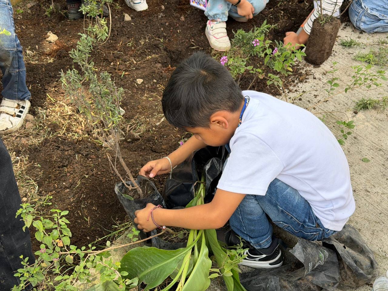ROMA SUR SUMA ÁRBOLES Y JARDINES POLINIZADORES EN JORNADA DE REFORESTACIÓN ENCABEZADA POR ALE ROJO DE LA VEGA