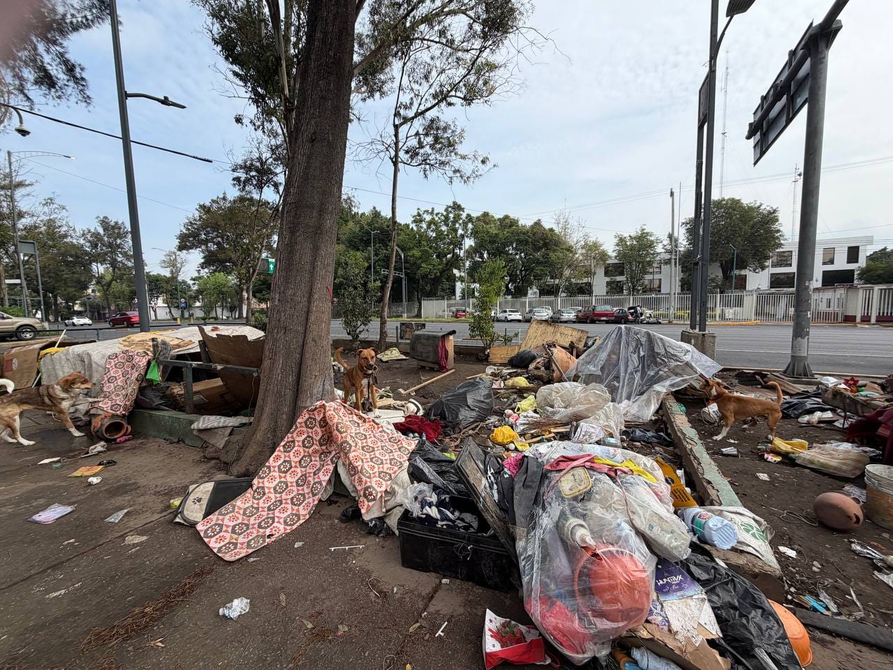 ALCALDÍA CUAUHTÉMOC RETIRA MÁS DE 60 TONELADAS DE TRIQUES Y BASURA DE ESPACIOS PÚBLICOS
