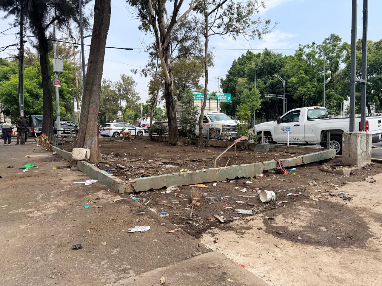 ALCALDÍA CUAUHTÉMOC RETIRA MÁS DE 60 TONELADAS DE TRIQUES Y BASURA DE ESPACIOS PÚBLICOS