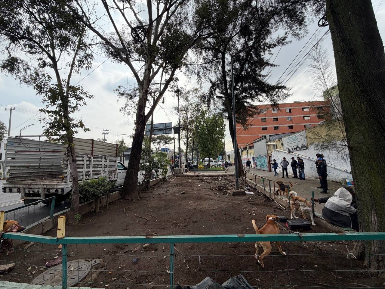 ALCALDÍA CUAUHTÉMOC RETIRA MÁS DE 60 TONELADAS DE TRIQUES Y BASURA DE ESPACIOS PÚBLICOS