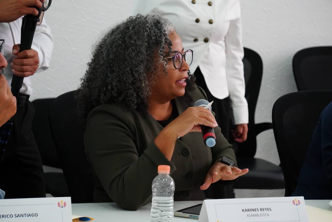 ALE ROJO DE LA VEGA RECIBE A LEGISLADORES DE NUEVA YORK PARA COMPARTIR EXPERIENCIAS DE GOBIERNO LOCAL
