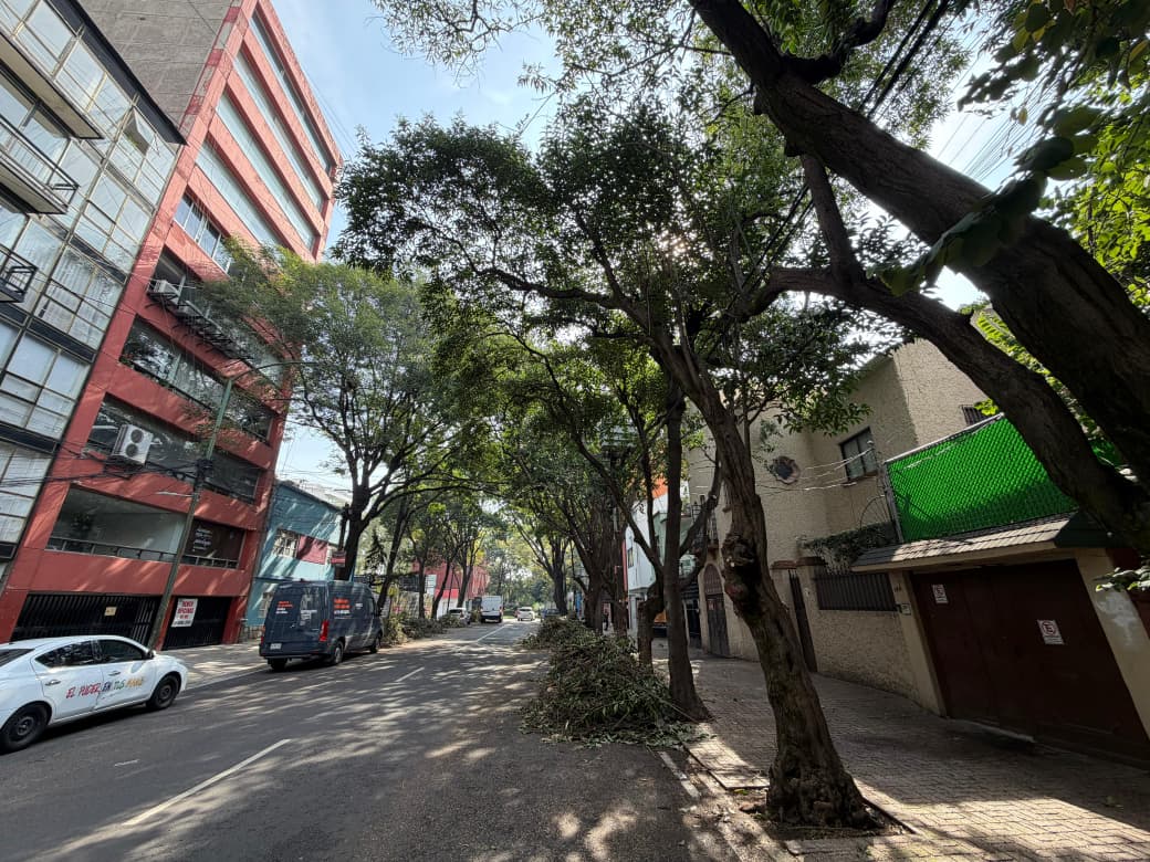 CUAUHTÉMOC REALIZA 204 PODAS PREVENTIVAS ANTE PRONÓSTICO DE LLUVIAS