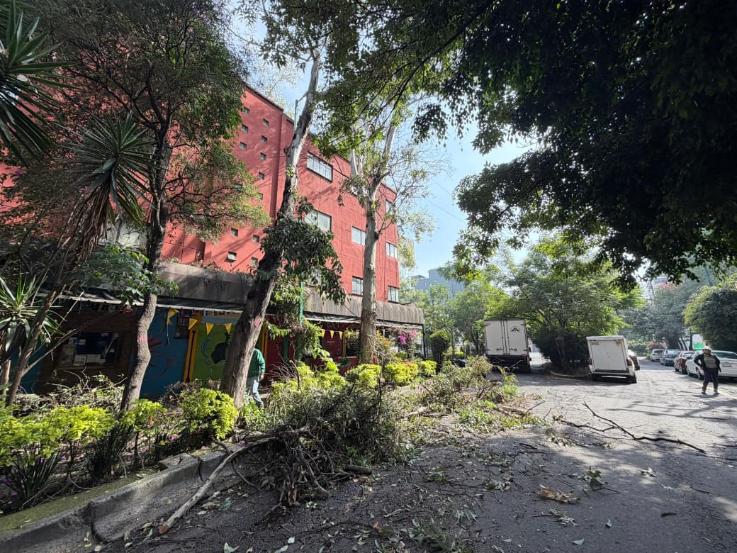CUAUHTÉMOC REALIZA 204 PODAS PREVENTIVAS ANTE PRONÓSTICO DE LLUVIAS