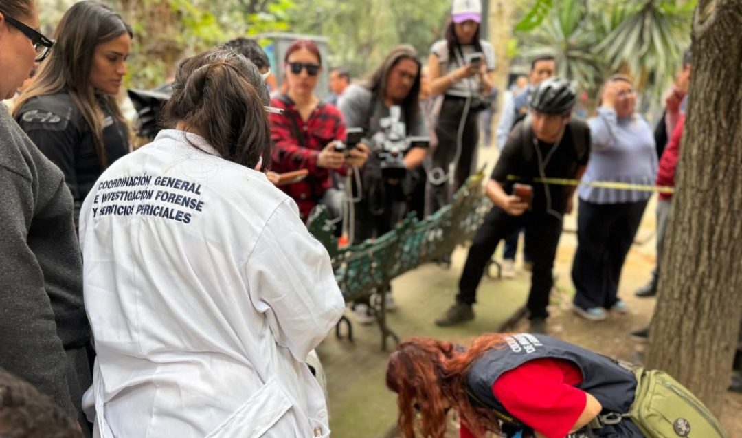 Vecinos aportan información para identificar a presunto responsable de envenenar perros