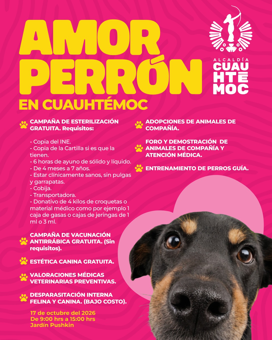 ALE ROJO DE LA VEGA INVITA A JORNADA GRATUITA DE ATENCIÓN ANIMAL AMOR PERRÓN EN EL JARDÍN PUSHKIN