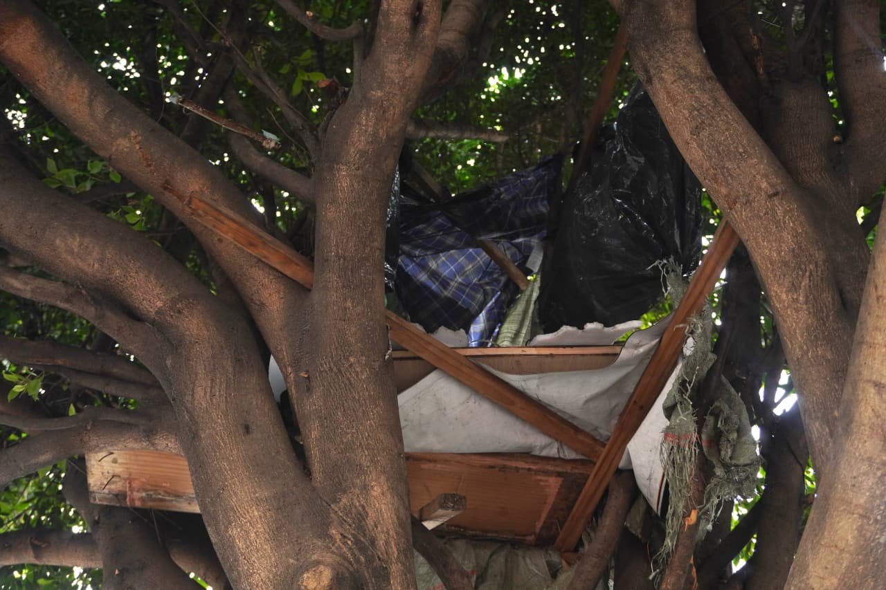 ALCALDÍA CUAUHTÉMOC RETIRA 62 TONELADAS DE TRIQUES Y BASURA EN OBRERA Y DOCTORES