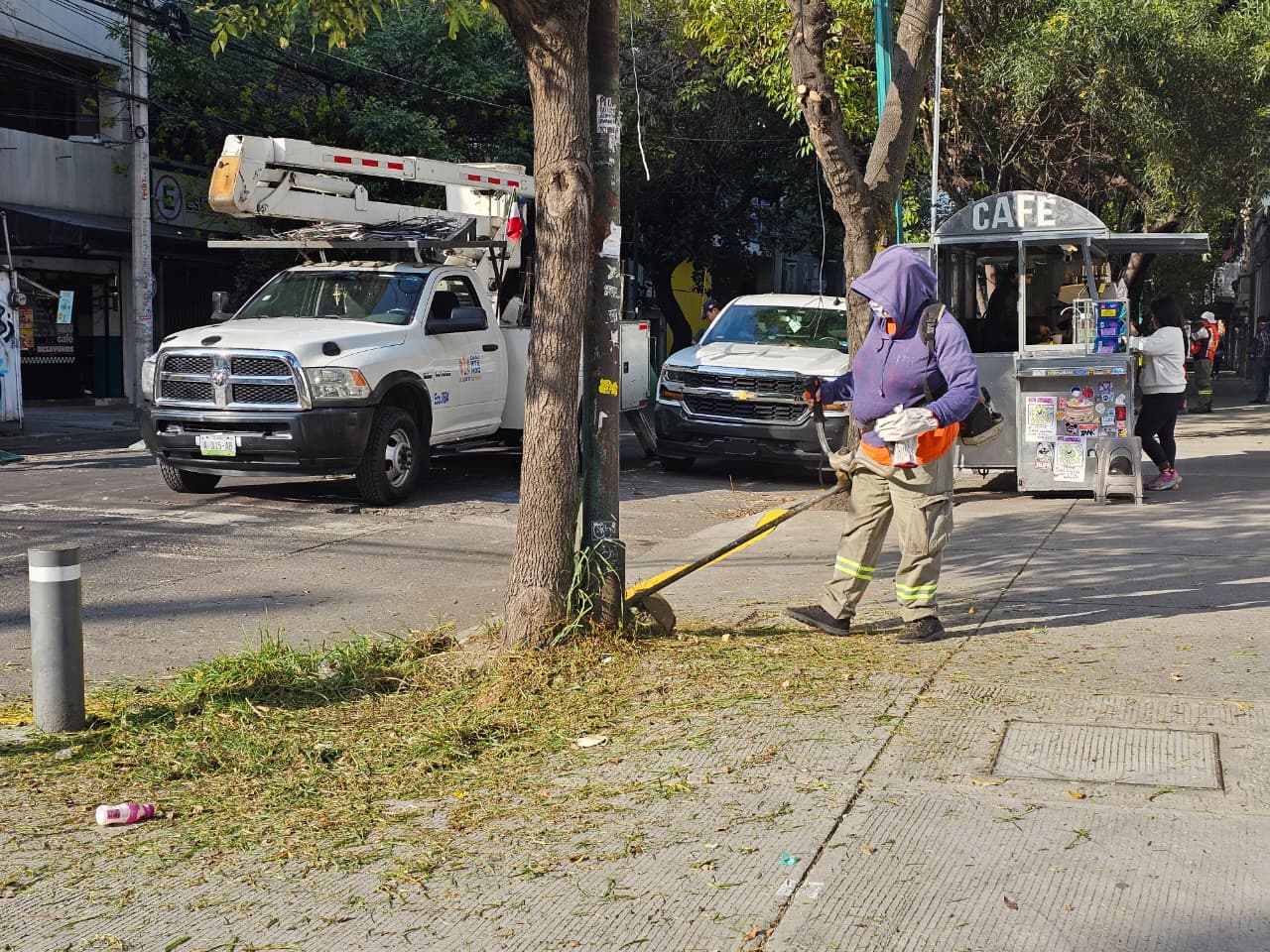Retiran cuatro árboles secos en la Plaza Río de Janeiro