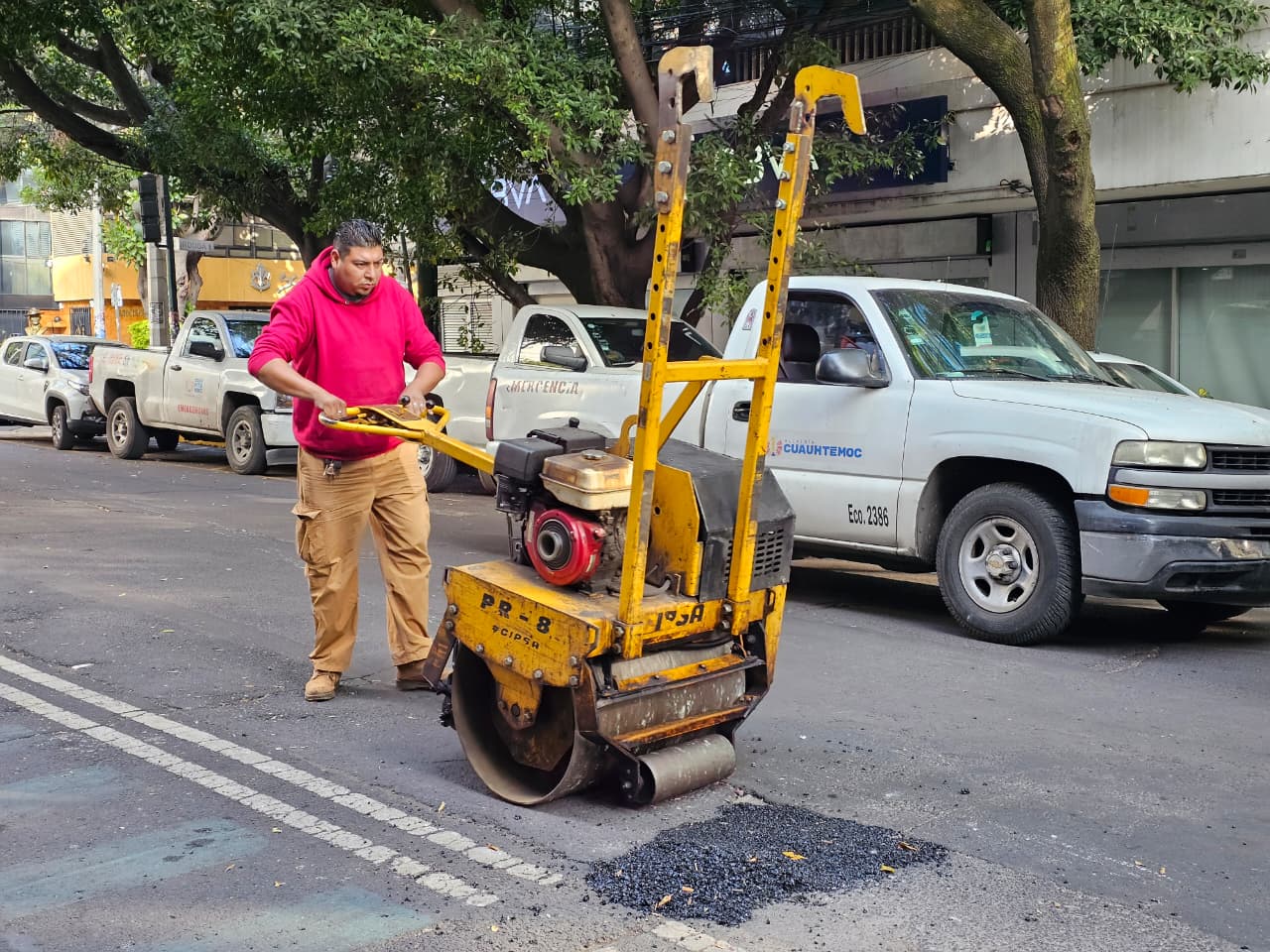 Retiran cuatro árboles secos en la Plaza Río de Janeiro