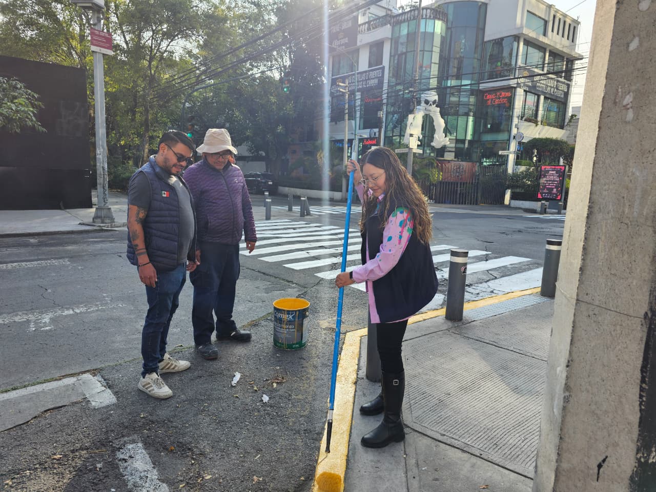 Retiran cuatro árboles secos en la Plaza Río de Janeiro