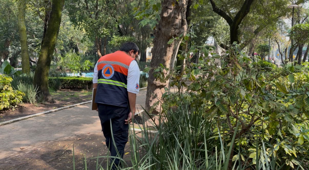 La Alcaldía Cuauhtémoc inició el 28 de octubre de 2026 una jornada de limpieza profunda en el Parque España, el Jardín Pushkin y la Plaza Río de Janeiro, tras la muerte de tres perros por presunta intoxicación y los casos de otros animales que permanecen hospitalizados. Las labores buscan prevenir riesgos y atender estos espacios públicos.