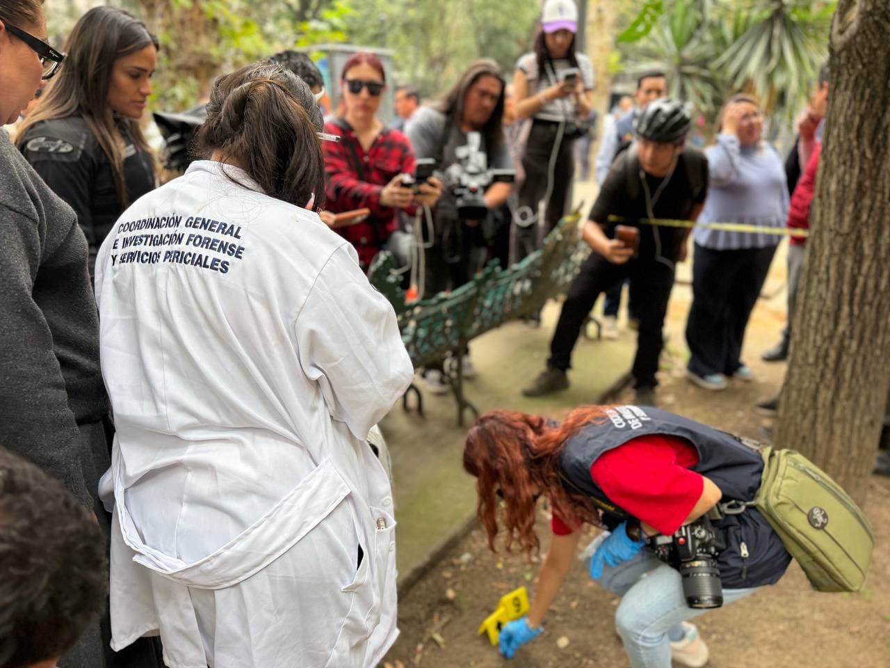 Vecinos aportan información para identificar a presunto responsable de envenenar perros