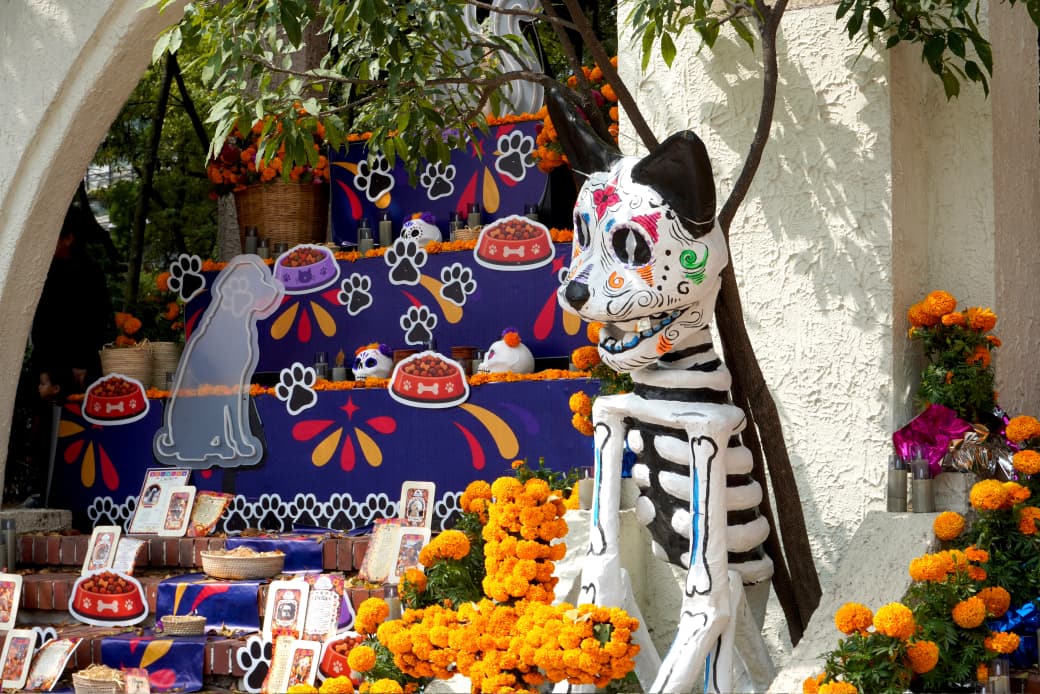 Álvaro Obregón celebra el Día de Muertos con seis montajes temáticos